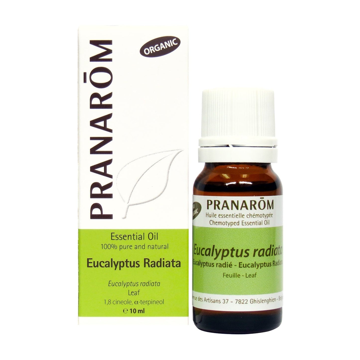 Eucalyptus Radiata (10ml)