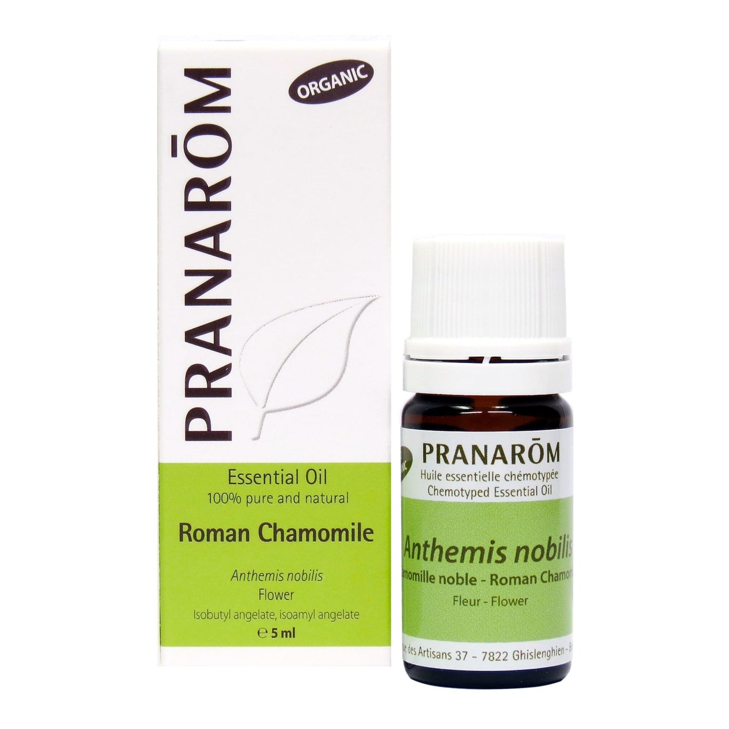 Roman Chamomile (5ml)