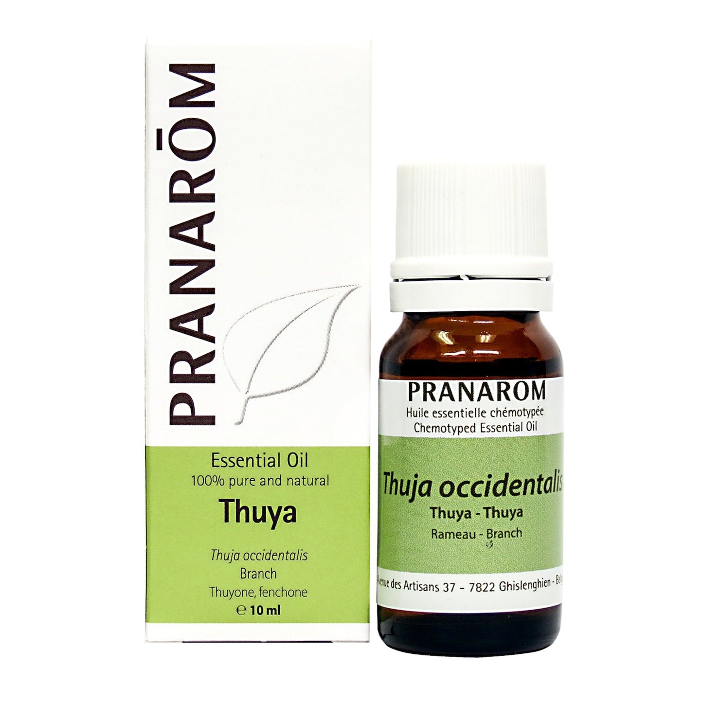 Thuja (10ml)