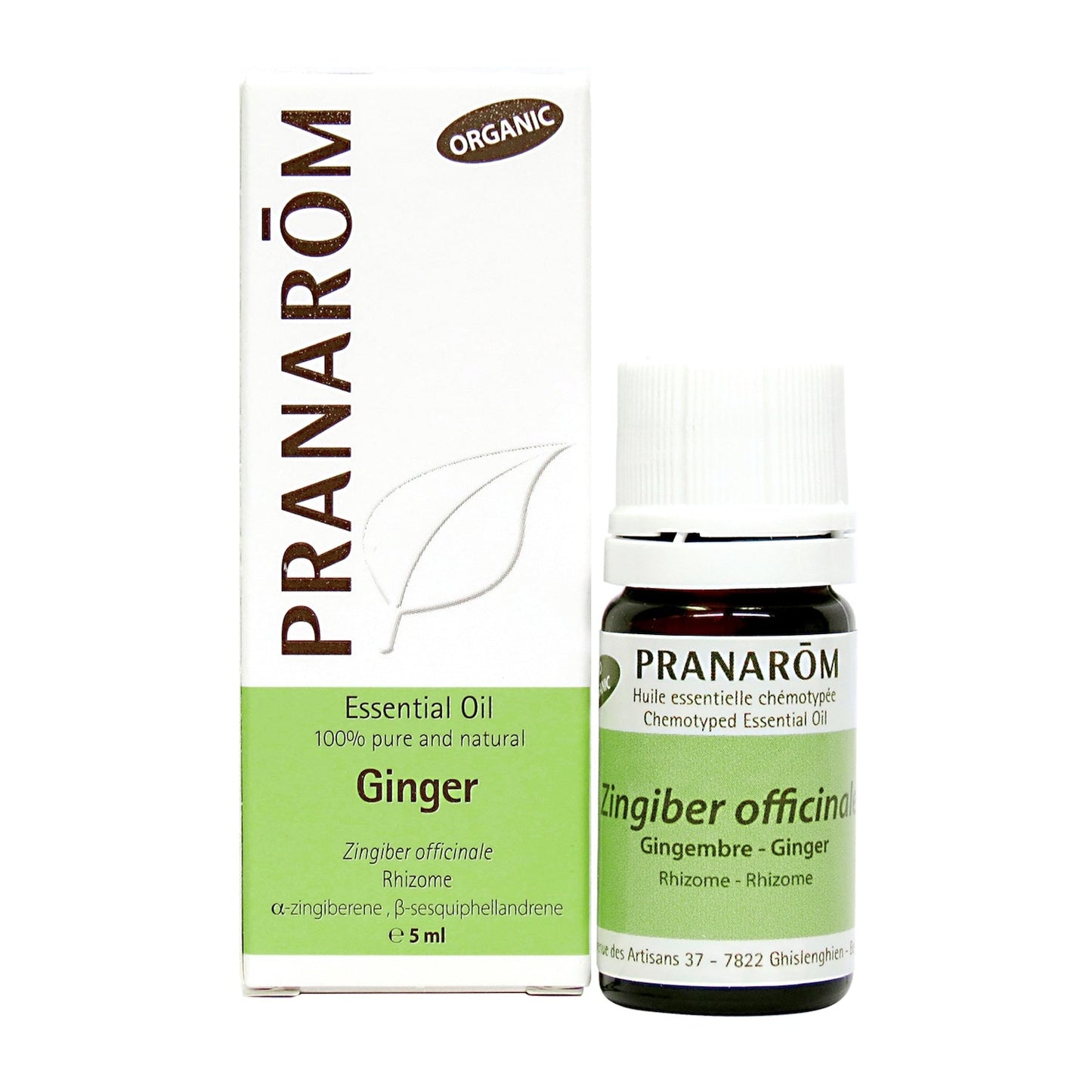 Ginger (5ml)