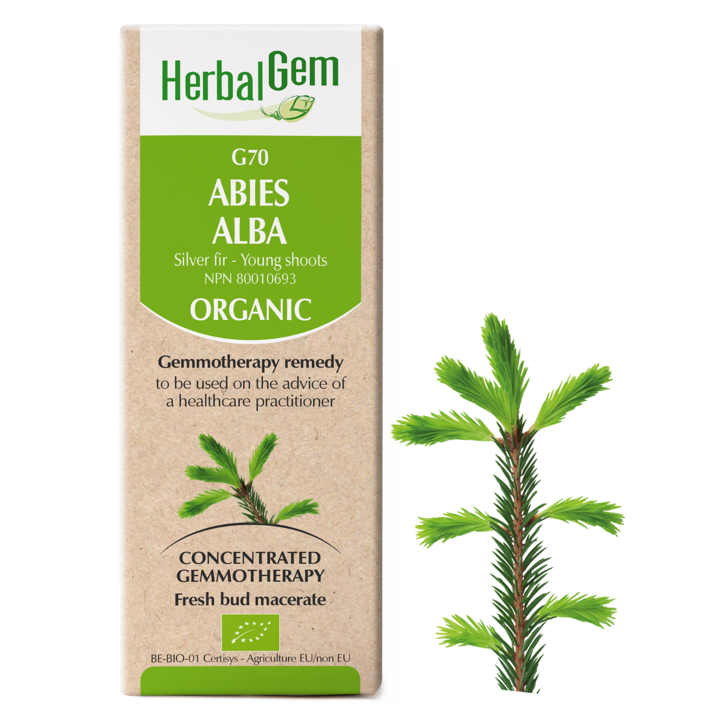 Abies Alba (0.5 fl oz)