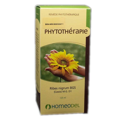 Gemmotherapy Blackcurrant (120ml)
