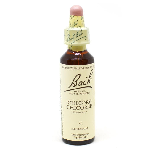 Chicory Bach Flower (20ml)