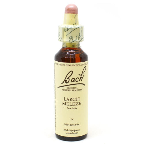 Bach Flower-Larch (20ml)