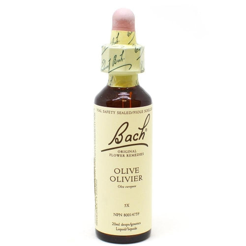Bach Flower - Olive (20ml)
