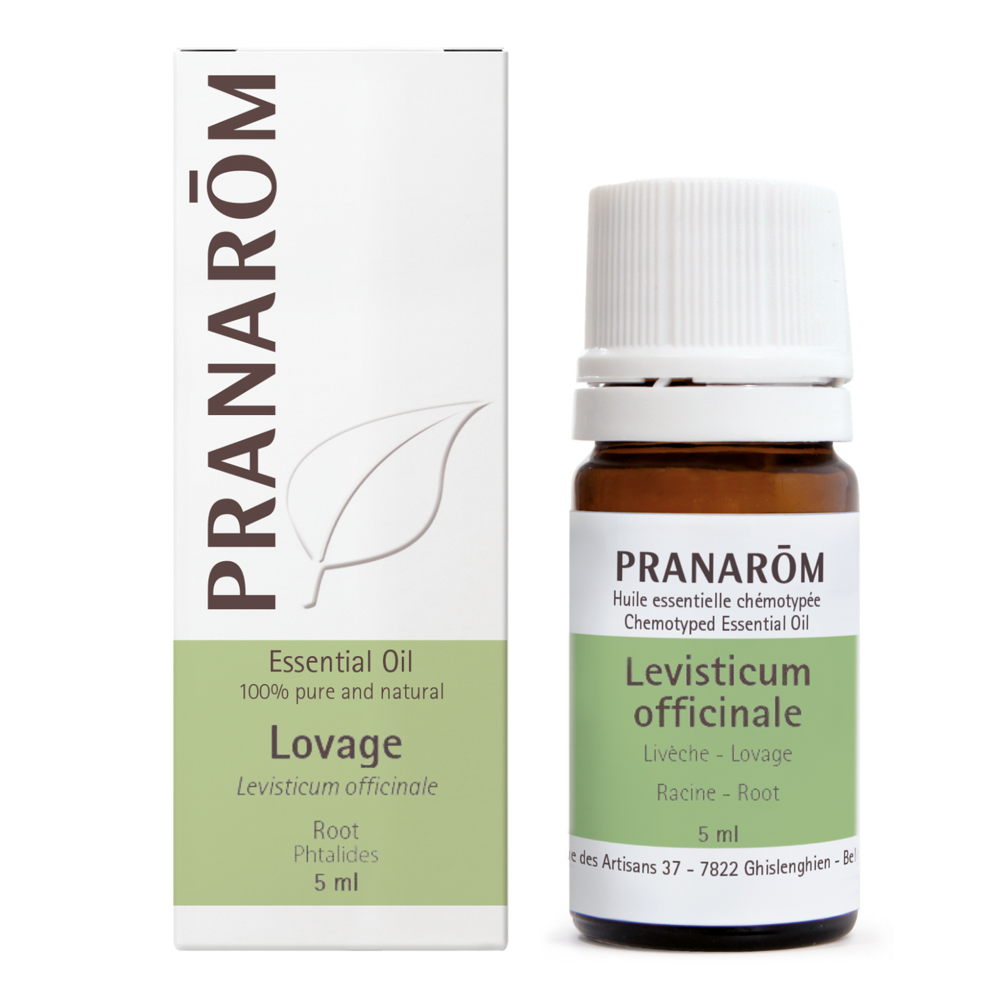 Lovage - Root (5ml)