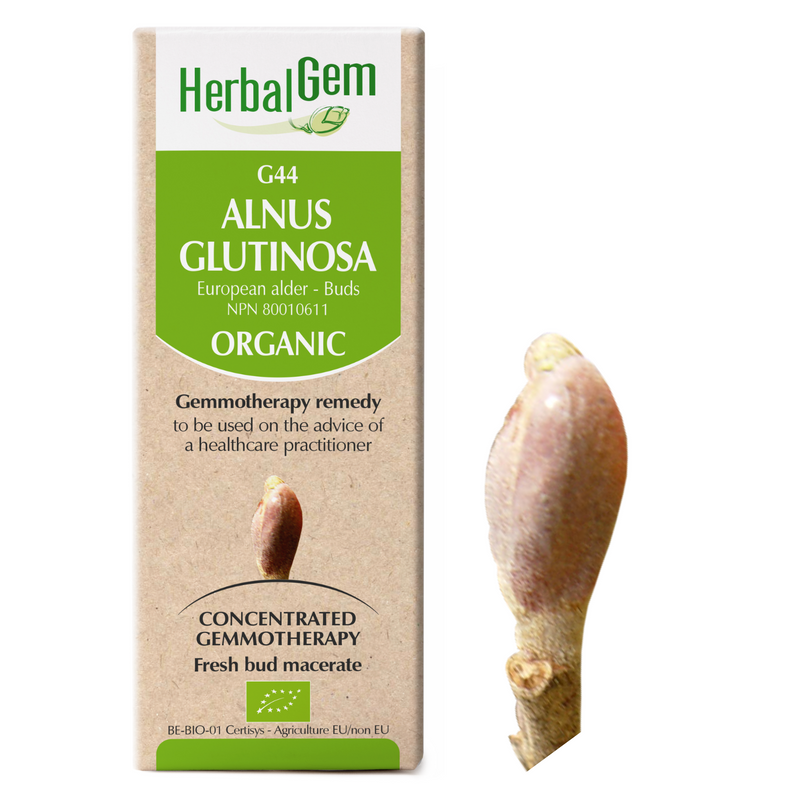 G44 Alnus Glutinosa (50ml)