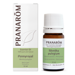 Pennyroyal - Aerial Part (10ml)