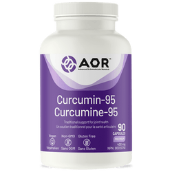 Curcumin-95 (90 Caps)