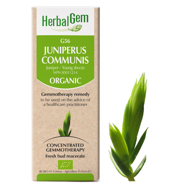 Juniperus Communis (50ml)