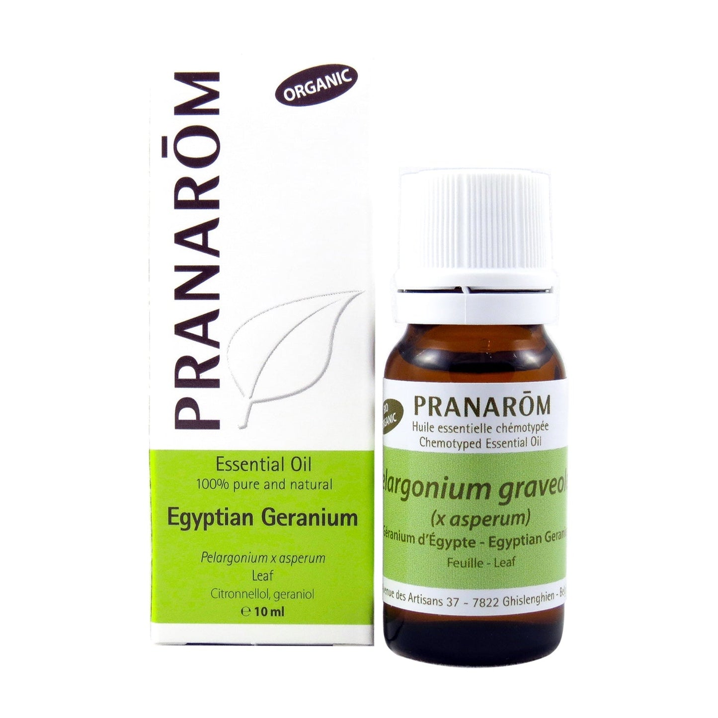 Geranium, Egyptian (10ml)