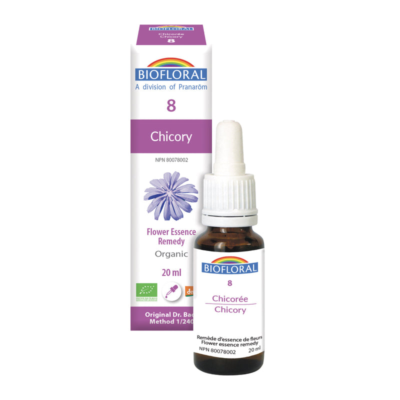 Chicorée (20ml)