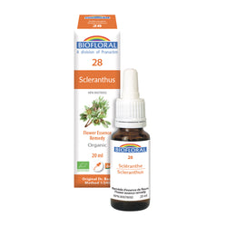 Scléranthe (20ml)