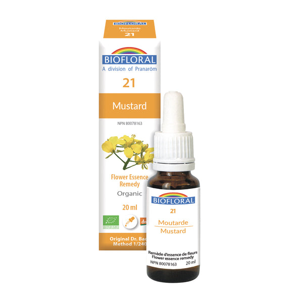 Moutarde (20ml)