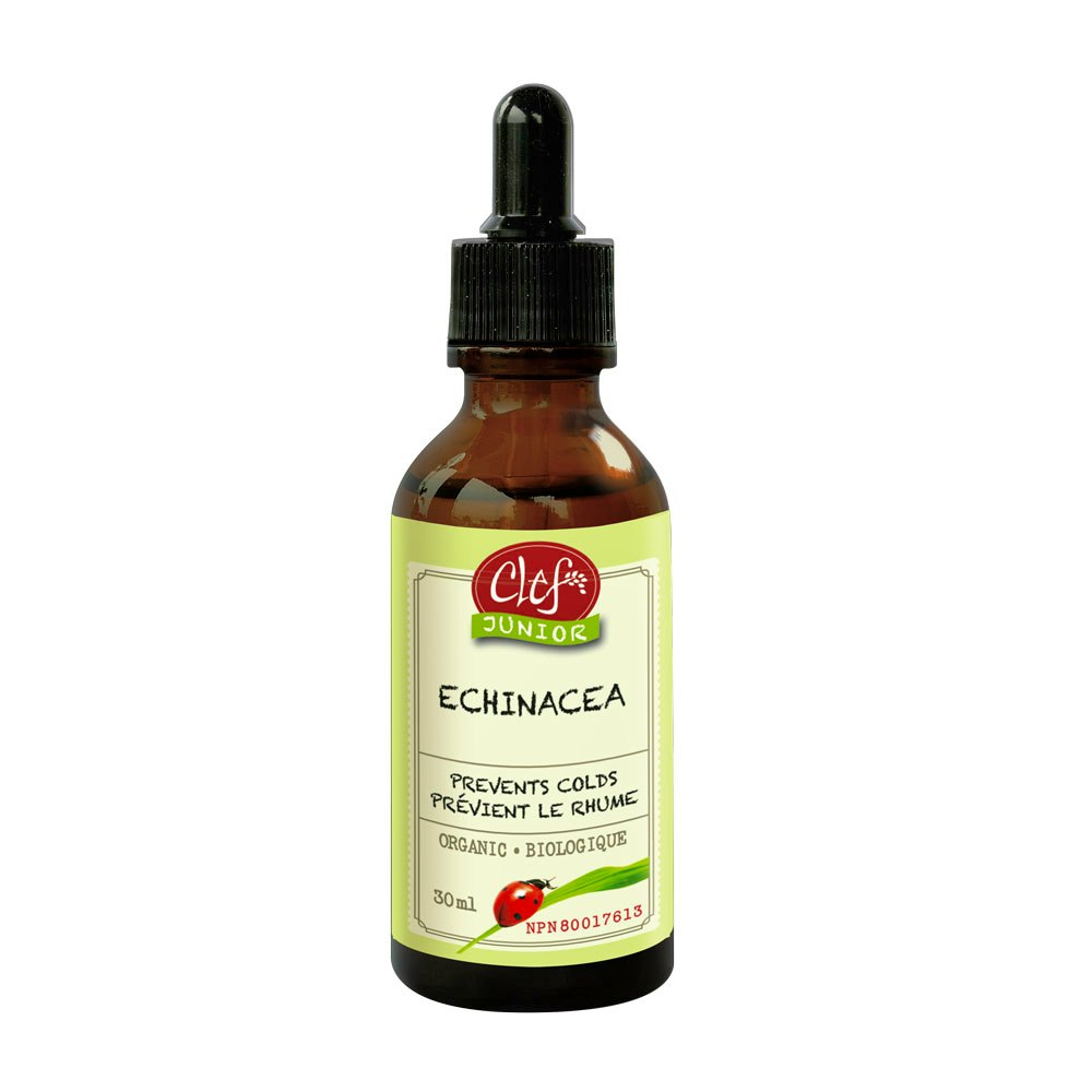 Echinacea Glycerite (30ml)