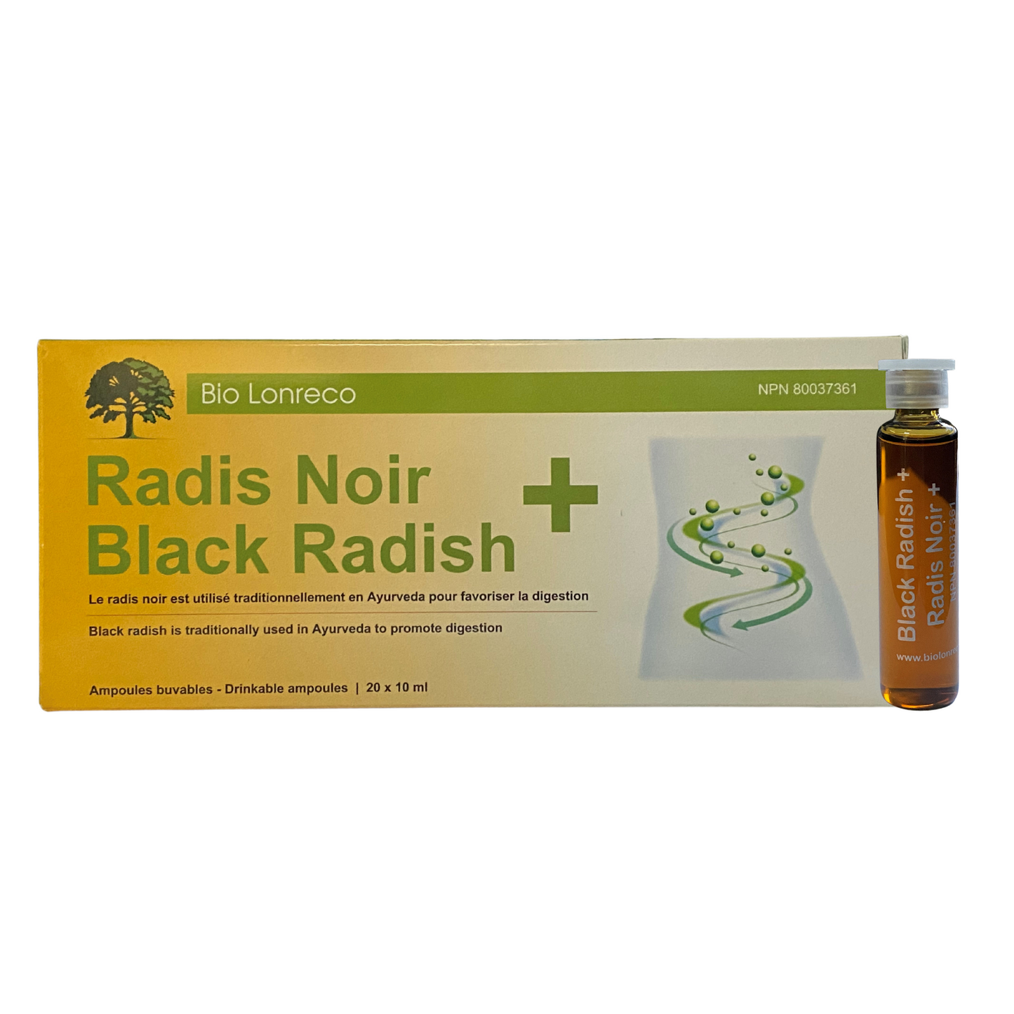 Black Radish + (20x 10ml)