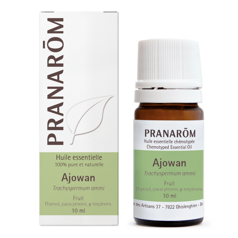 Ajowan - Fruit (10ml)