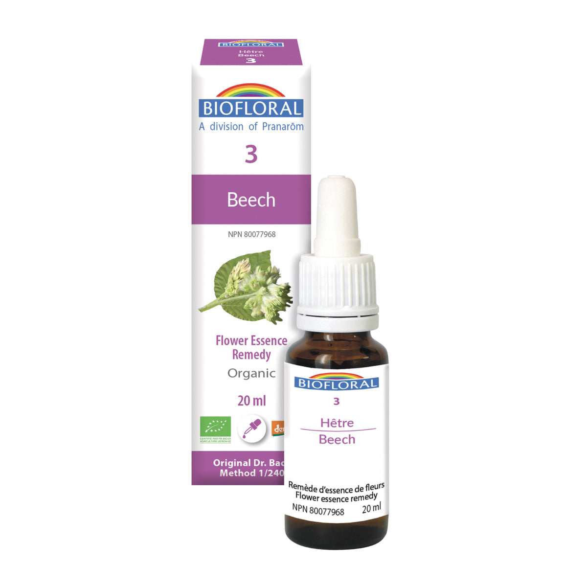Beech (20ml)