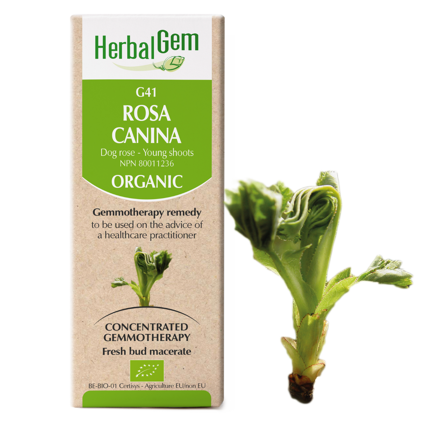 G41 Dog Rose (50ml)