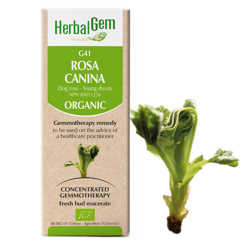 G41 Rosa Canina (15ml)