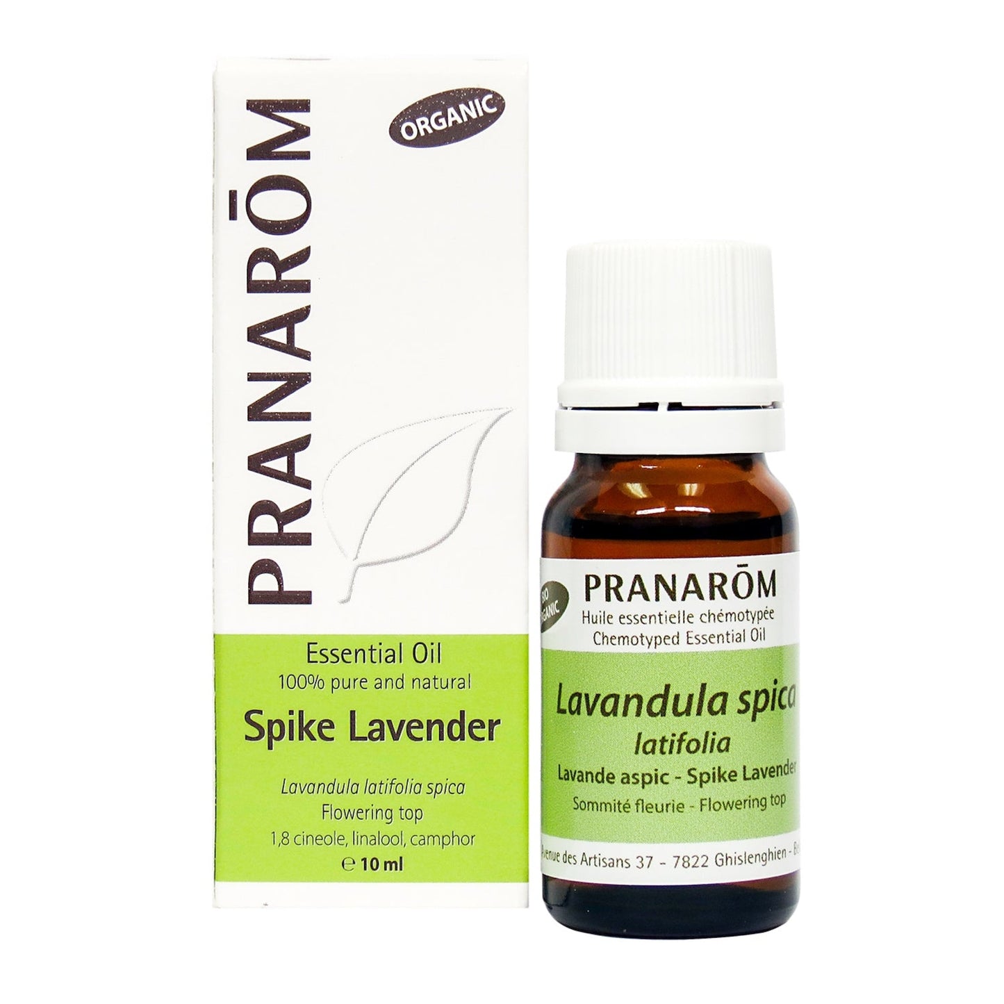 Spike Lavender (10ml)