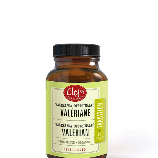 C. Valériane  (400mg)