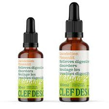 Dandelion Tincture (50ml)