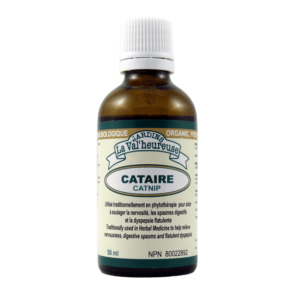 Cataire (50ml)