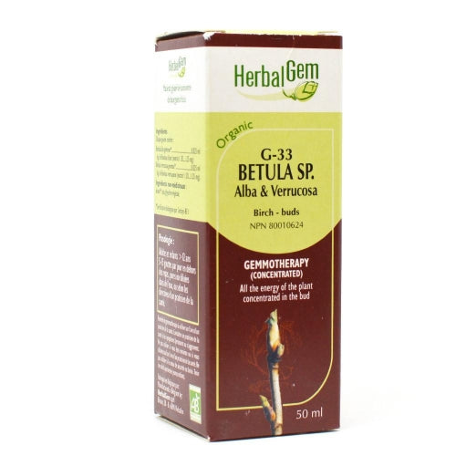 Betula Sp. (50ml)