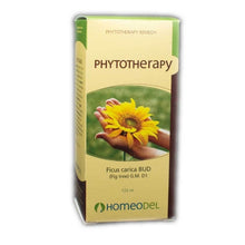 Gemmotherapie Ficus Carica (120ml)