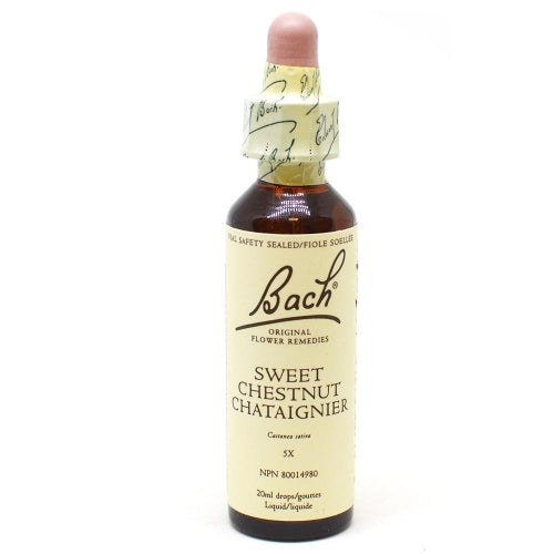 Bach Flower-Sweet Chestnut (20ml)