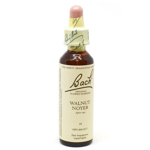 Bach Flower Walnut (20ml)
