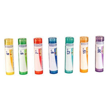 Belladona 7ch (80 Pellets)
